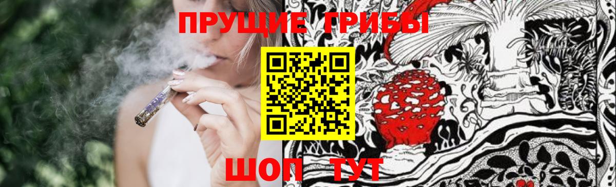 Псилоцибиновые грибы GOLDEN TEACHER  Псилоцибиновые грибы Psilocybe  Знаменск  Вход с VPN 